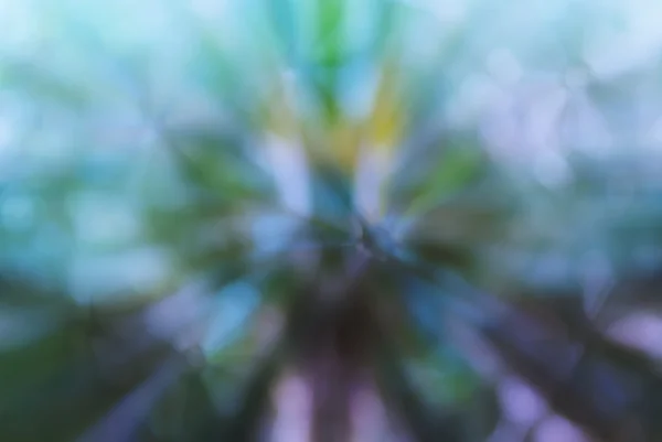 Kleurrijke abstracte bloemen vorm groen blauw paars pastel zachte een — Stockfoto