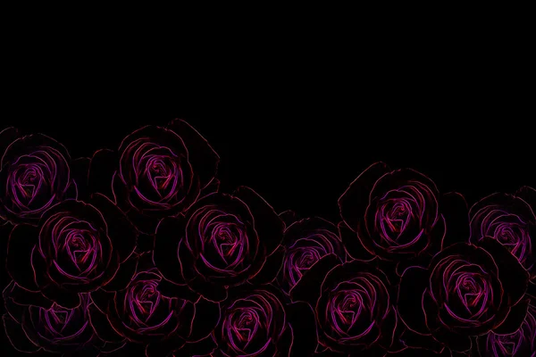 Skupina růžových a rudých růží světle záře, jiskr — Stock fotografie