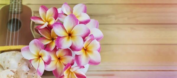 Flores amarelas e brancas rosa cacho plumeria ou frangipani em vaso — Fotografia de Stock