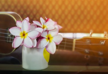 Plumeria veya frangipani çiçek Kupası ukulele ve vinatge arka plan ile