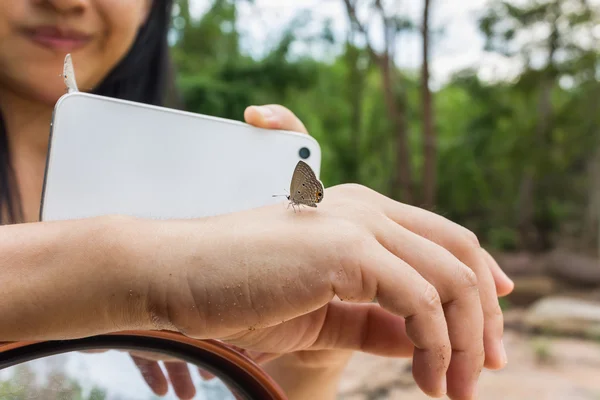 Lovely butterfly suddenly catch hand with blurred smartphone and