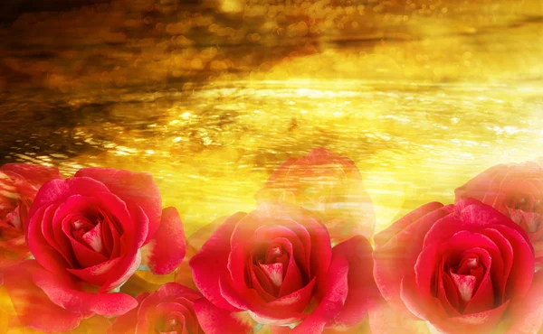 Grupo os rosas rojas en brillo ans brillante bokeh en el río dorado — Foto de Stock