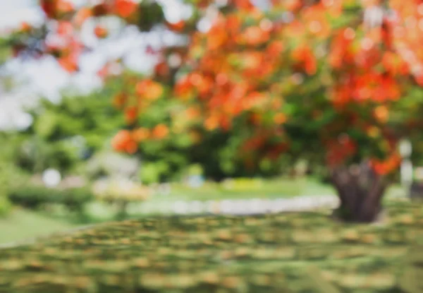 Blurred background or de-focused of orange colour flowers blossom