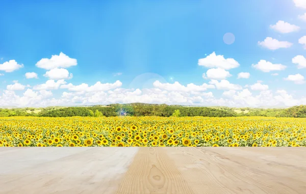 Espace vide ou plateau de table sur champ de tournesols et ciel nuageux gonflé ensoleillé — Photo