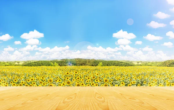 Leere Fläche oder Platz Tischplatte auf Sonnenblumenfeld und sonnigen geschwollenen Wolken Himmel — Stockfoto