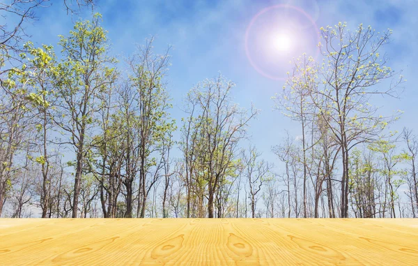 Leere Fläche oder Raum Tischplatte auf Baum und sonnigem Himmel Natur Hintergrund — Stockfoto