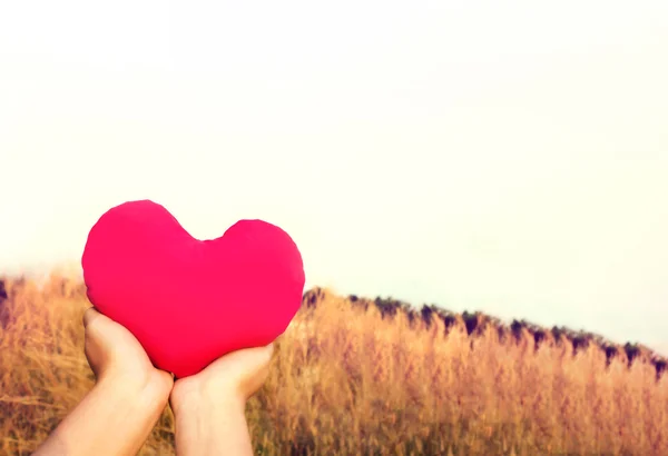 Två händer försiktigt höja och håll stort rött hjärta med kärlek — Stockfoto