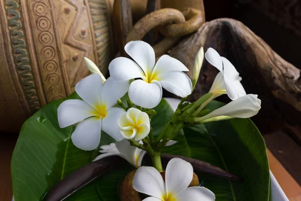 Bouquet plumeria fleur blanche avec décoration vintage et style boutique — Photo