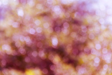 Renkli kıvılcım ve darbe doğal bokeh için pembe güneş ışığı ile