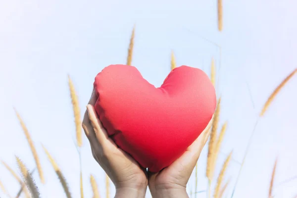 Geïsoleerde twee handen zachtjes verhogen en houd rood hart met liefde en respect met achtergrond van hemel — Stockfoto