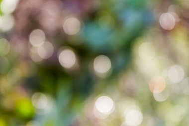 Renkli tatlı kıvılcım ve darbe doğal bokeh arka plan