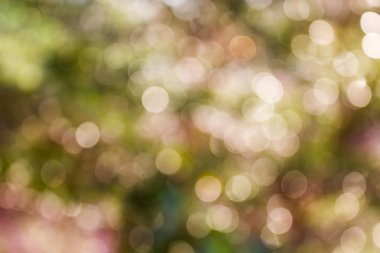 Renkli kıvılcım ve darbe harika doğal bokeh