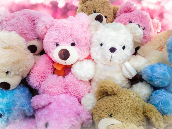 Lovely couple bear doll gift with pink background — Stock Photo, Image