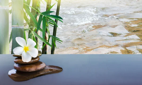 Plumeria su roccia di ciottoli con albero di bambù e superficie dell'acqua behin — Foto Stock