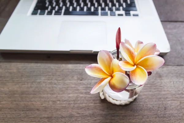 Belle fleur plumeria ou frangipani en petit verre au bureau — Photo