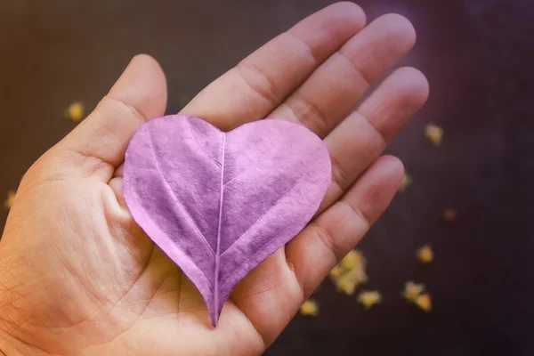 Hart vorm leaf op hand in zachte roze voor zoete liefde concept bac — Stockfoto