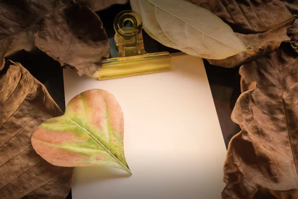 Sonsuza kadar aşk kavramı boş kağıt Not açık kalp yaprak