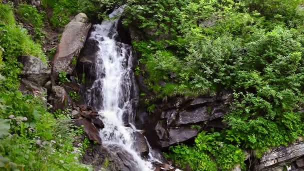 Гірський водоспад у зеленому лісі — стокове відео