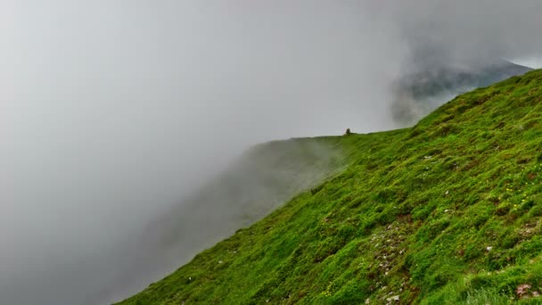 Exciting  time-lapse scene of fog moving in the Carpathians mountains — Stock Video