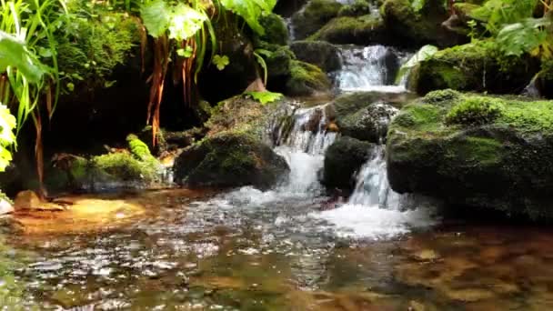 Fluxo de montanha com cachoeira — Vídeo de Stock