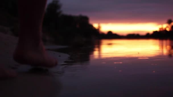 Κορίτσι έρχεται στο νερό στο ηλιοβασίλεμα. κοντινό πλάνο του κοριτσιού feets — Αρχείο Βίντεο