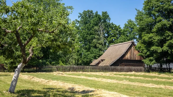 Opole Poland June 2021 Traditional Wooden House Sunny Summer Day — Fotografia de Stock