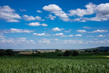 Mavi gökyüzünün altında beyaz kabarık bulutlu bir mısır tarlası. Arka planda Sleza Massif Dağları. Sobotka, Polonya. 