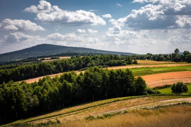 Tepe, altın tarlalar, yeşil orman ve Lysica Dağı 'ndan oluşan pitoresk bir kır manzarası. Swietokrzyskie Dağları, Polonya.