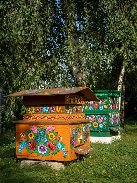 Zalipie Poland 2021年8月1日 花园中的两间彩色木制蜂箱 以花卉图案作画 — 图库照片