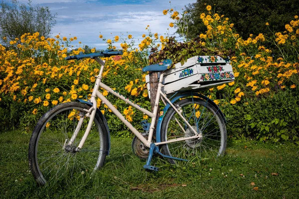 Romantyczny Biały Niebieski Rower Ogrodzie Dużo Żółtych Kwiatów Tle Słoneczny — Zdjęcie stockowe