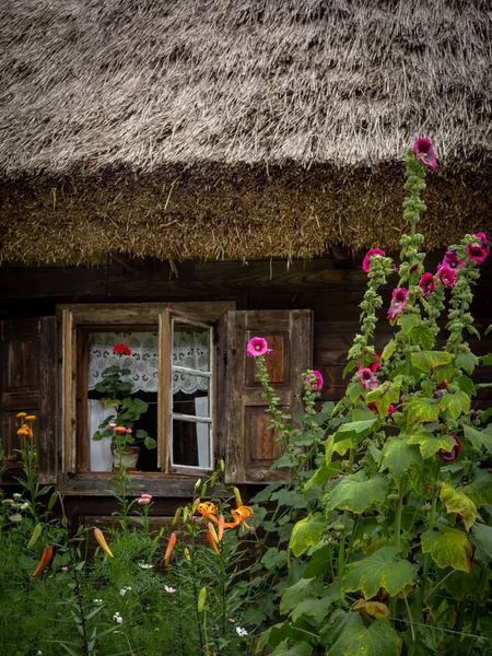 Sierpc Polen Juli 2021 Großaufnahme Eines Traditionellen Braunen Holzhauses Mit — Stockfoto