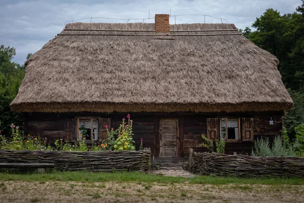 Sierpc Polska Lipca 2021 Tradycyjny Brązowy Drewniany Dom Strzechą Hollyhocks — Zdjęcie stockowe