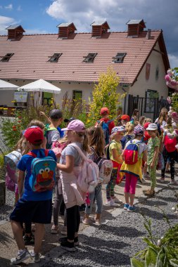 Wojslawice, Polonya - 09 Temmuz 2021: Bir botanik bahçesinin girişinde sıra bekleyen renkli giyinmiş bir grup okul çocuğu. 