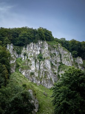 Ağaçlarla çevrili pitoresk bir kireç taşı oluşumu. Ojcow, Polonya Jura, Polonya.