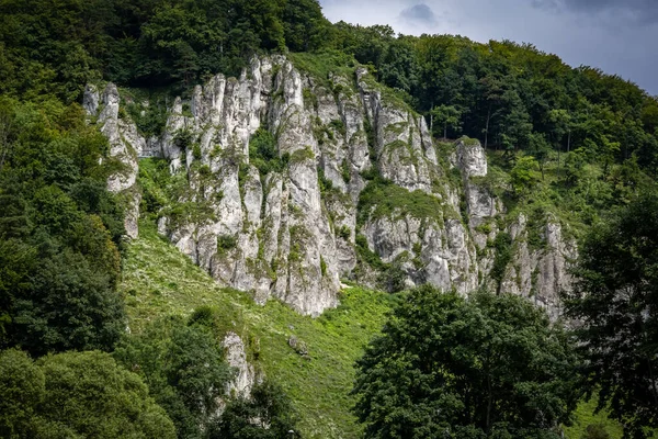 石灰岩一种风景如画的石灰岩 被树木环绕Ojcow Polish Jura Poland — 图库照片