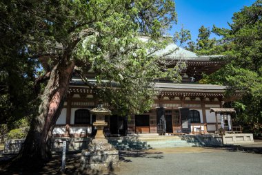 Kamakura, Japonya - 16 Nisan 2025: Engakuji zen Budist tapınağı kompleksindeki Hojo binası. 