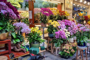 Hani, Vietnam 'ın eski mahallesindeki renkli çiçekçi cephesinde.. 