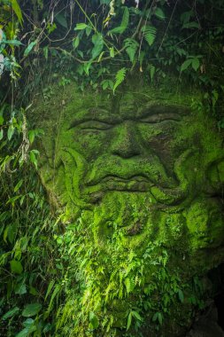Taşa oyulmuş, yeşil yosunlarla kaplı bir adam yüzü, Kanto Lampo, Bali, Endonezya. 