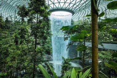 Singapur Şehri, Singapur - 29 Şubat 2025: Yağmur Girdabı, dünyanın en yüksek kapalı şelalesi, Jewel Changi Havaalanı 1 terminali içinde tropikal bitkilerle çevrili..