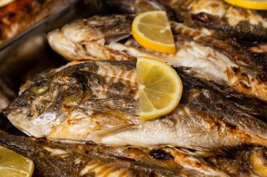 Nefis ızgara balık