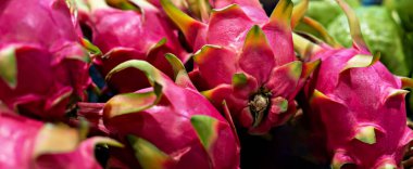 Organik pazar. Parlak pembe derili ve yeşil pullu taze ejderha meyveleri, koyu arkaplan karşısında eşsiz dokusunu ve rengini sergileyerek pazara yakın bir şekilde sergilenmektedir.