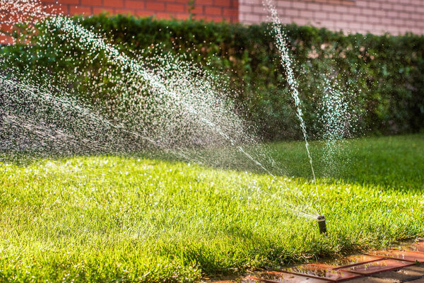Automatic sprinklers for watering grass. the lawn is watered in summer. convenient for home. fresh greens