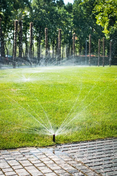 Çimleri Sulamak Için Otomatik Fıskiyeler Bahçe Yazın Sulanır Için Elverişli — Stok fotoğraf