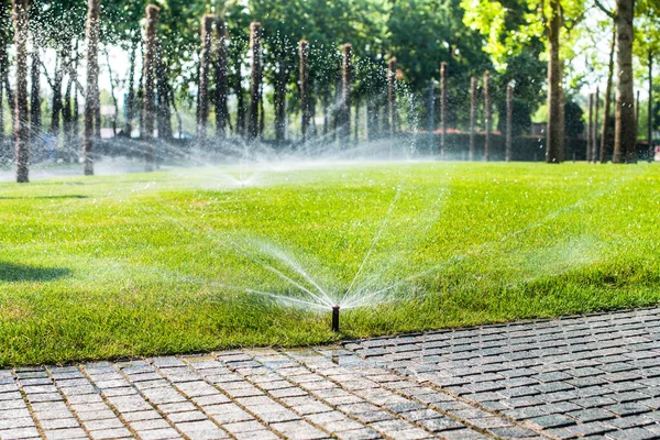 Automatic Sprinklers Watering Grass Lawn Watered Summer Convenient Home Fresh — Stock Photo, Image