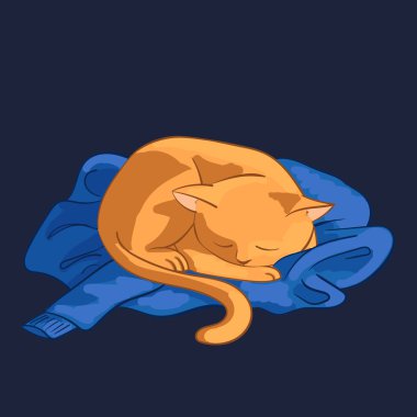 Kedi illüstrasyonu.