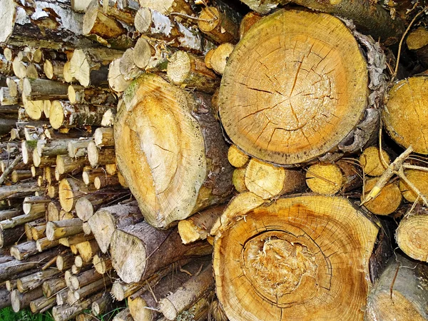 Vrstvené dřevo záznamy — Stock fotografie
