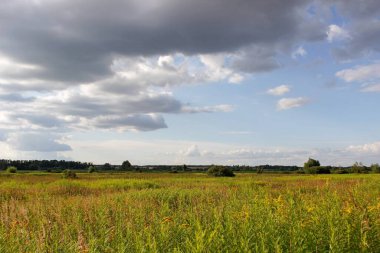 Manzara sade gökyüzü bulutları çimen ağaçları