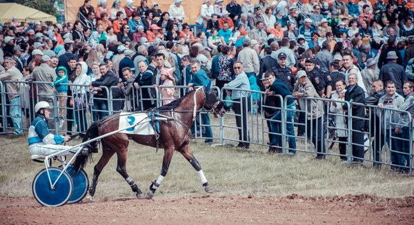 Trote de carreras en Naberezhnye Chelny, República de Tartaristán, Rusia Holiday Sabantuy 2015 —  Fotos de Stock