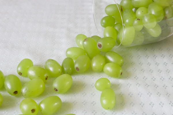 Raisins dans un verre de vin — Photo