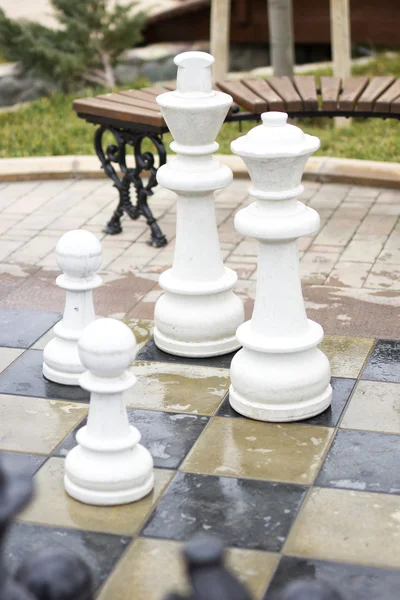 Park with chess figures autumn season. Big chessboard outdoor in tropical resort.